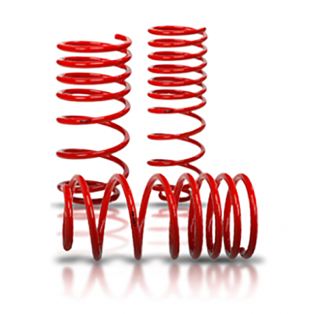 V-Maxx Coilover - Replacement Caddy Front Springs - V-maxx shop