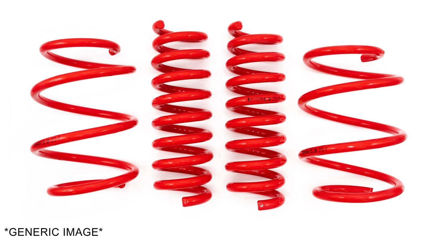 V-Maxx, Lowering Springs (35 DH 04)