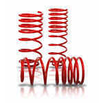 V-Maxx Coilover - Replacement Caddy Front Springs - V-maxx shop