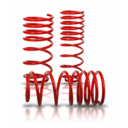 V-Maxx Coilover - Replacement Caddy Front Springs - V-maxx shop