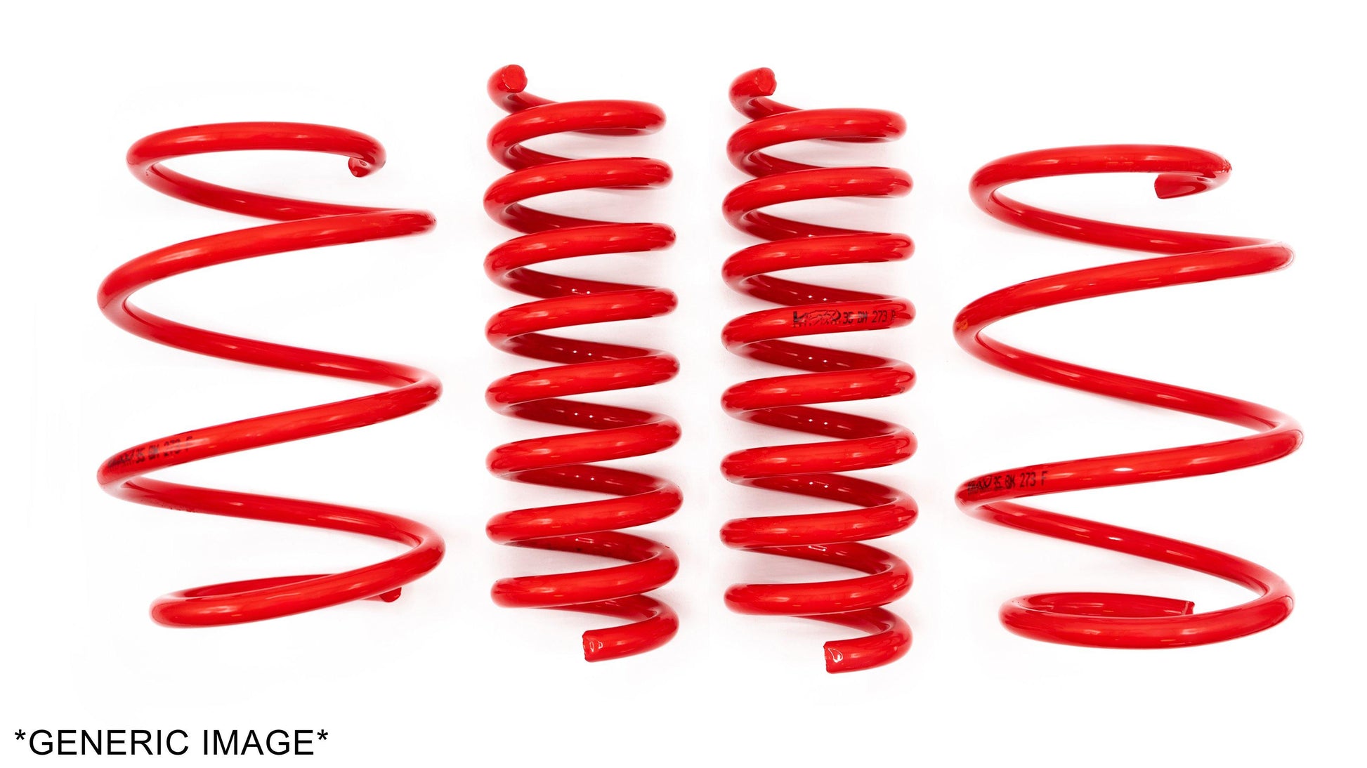 V-Maxx, Lowering Springs (35 RE 119)